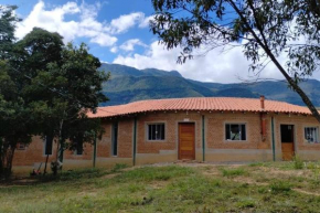 Casa Curva
